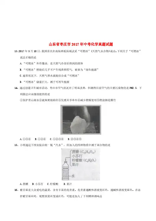 山东省枣庄市2017年中考化学真题试题(含答案)-真题试卷
