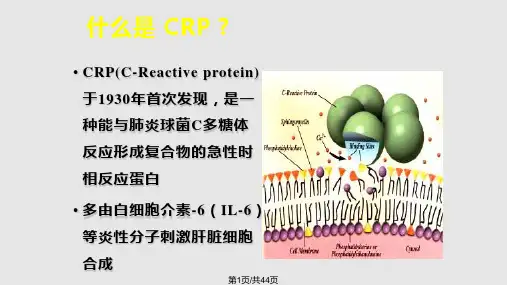 全程CRP 介绍PPT课件