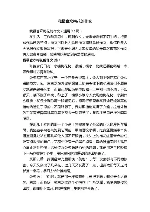 我最喜欢梅花的作文