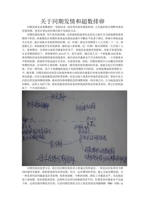 关于同期发情和超数排卵