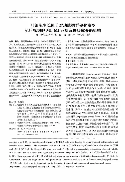 肝细胞生长因子对动脉粥样硬化模型兔巨噬细胞M1、M2亚型及斑块成分的影响