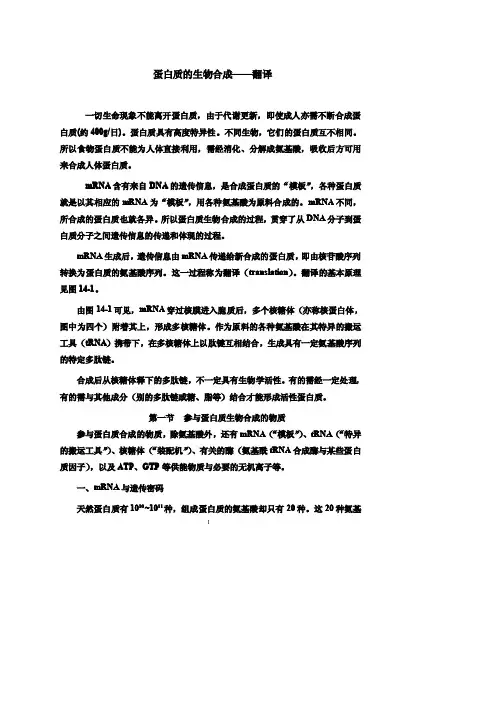 蛋白质翻译