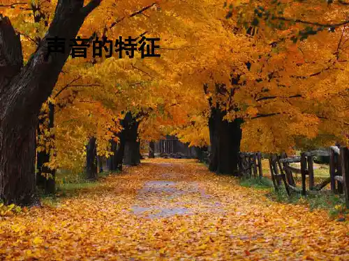 八年级物理声音的特征