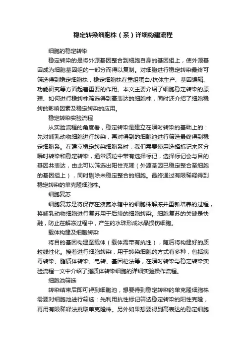 稳定转染细胞株（系）详细构建流程