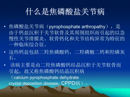 焦磷酸钙关节病PPT课件