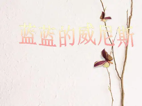 八年级语文上册 第四单元 20 蓝蓝的威尼斯课件 苏教版.pptx