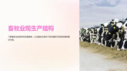 《畜牧业现生产结构》课件