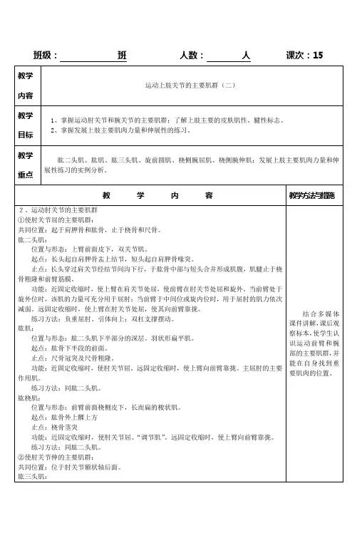 运动上肢关节的主要肌群(二)讲解