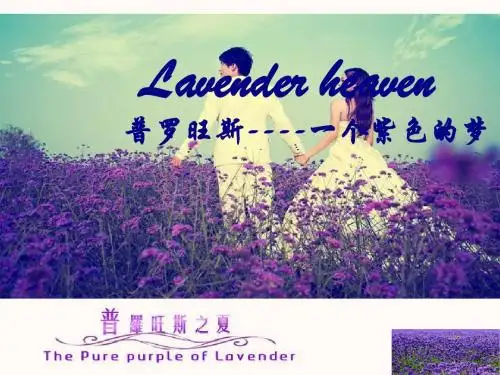 普罗旺斯简介