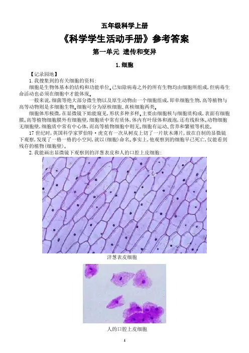 小学科学青岛版五四制五年级上册《科学学生活动手册》全册参考答案(共29课)(2022秋)