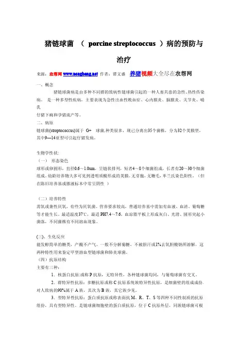 养猪：猪链球菌 ( porcine streptococcus )病的预防与治疗