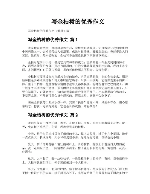 写金桔树的优秀作文