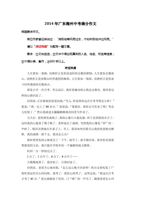 2014年广东梅州中考优秀作文《冲过风雨》