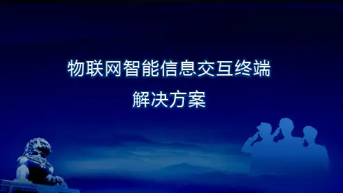 物联网信息交互终端