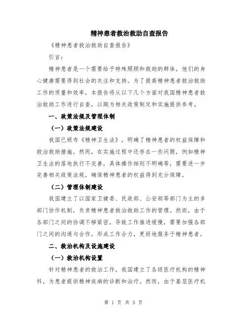 精神患者救治救助自查报告