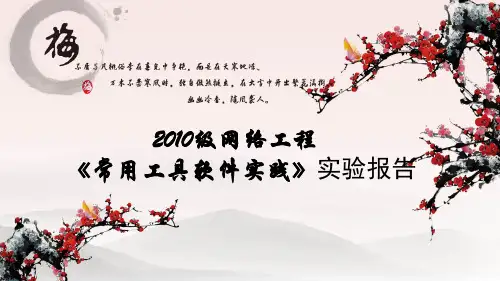 常用工具软件实践