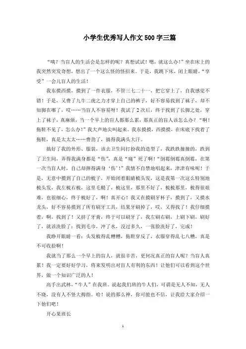 小学生优秀写人作文500字三篇范文精选(最新)