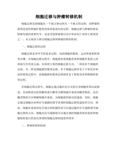 细胞迁移与肿瘤转移机制