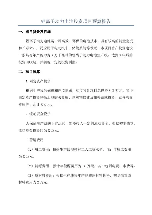 锂离子动力电池投资项目预算报告