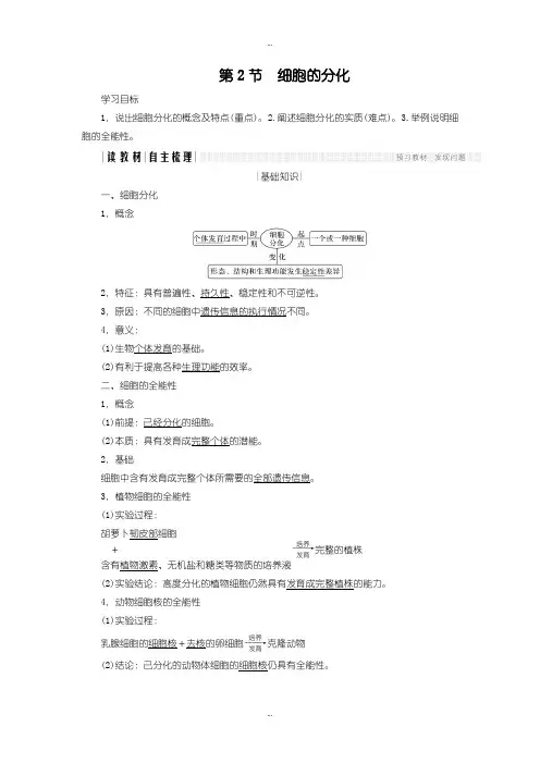 2019-2020年人教版高中生物必修一学案：6.2 细胞的分化含答案