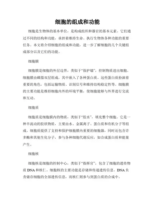细胞的组成和功能