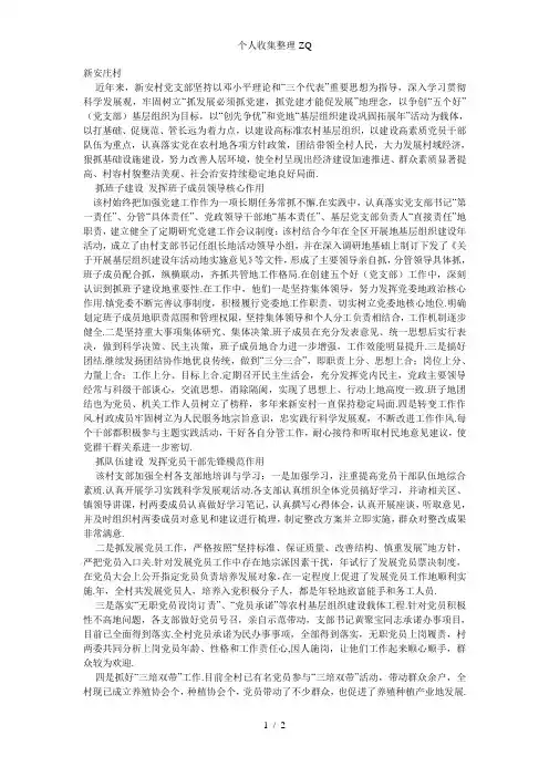 基层党组织工作记录