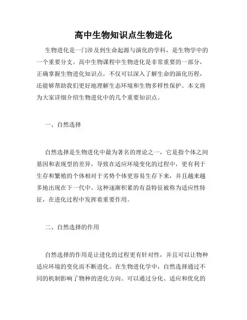 高中生物知识点生物进化