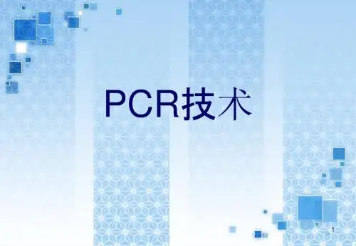 PCR技术