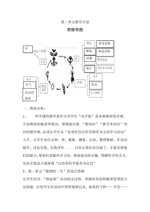苏教版小学科学三年级下册第二单元备课
