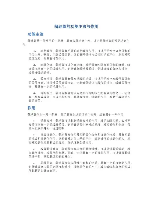 蒲地蓝的功能主治与作用