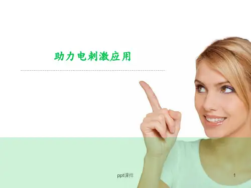 助力电刺激应用  ppt课件