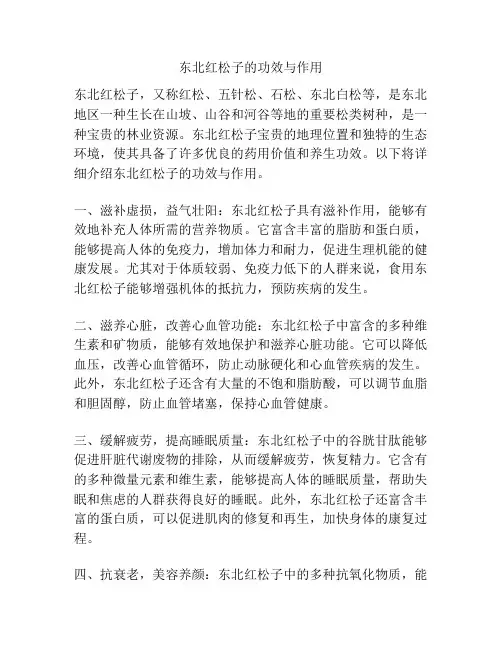 东北红松子的功效与作用
