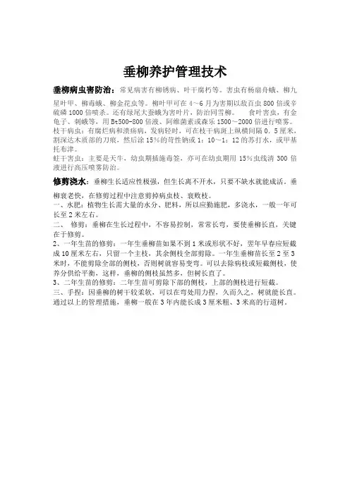 垂柳养护方案