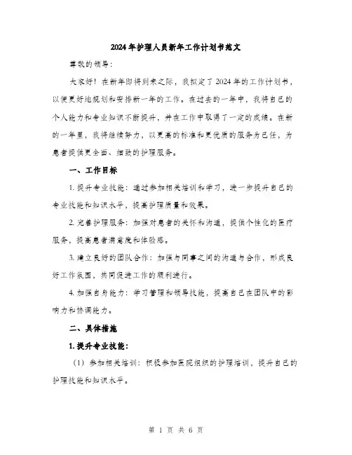 2024年护理人员新年工作计划书范文(二篇)