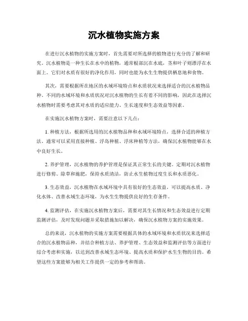 沉水植物实施方案