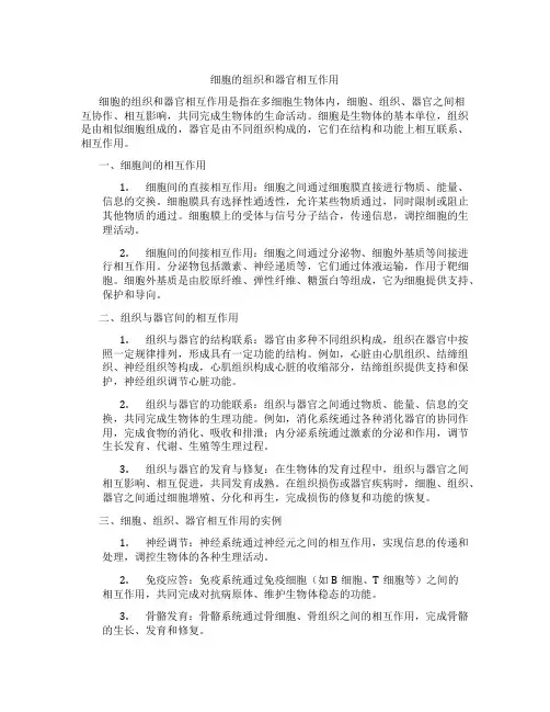 细胞的组织和器官相互作用
