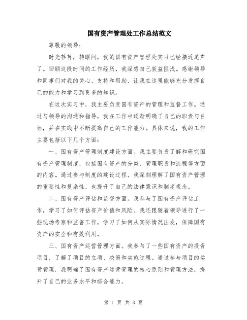 国有资产管理处工作总结范文