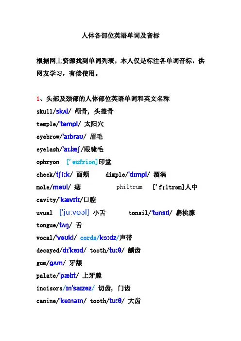 人体各部位英语单词及音标
