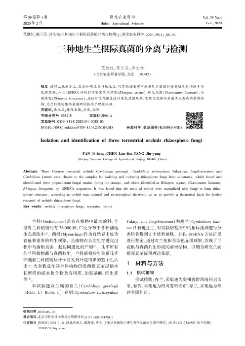 三种地生兰根际真菌的分离与检测