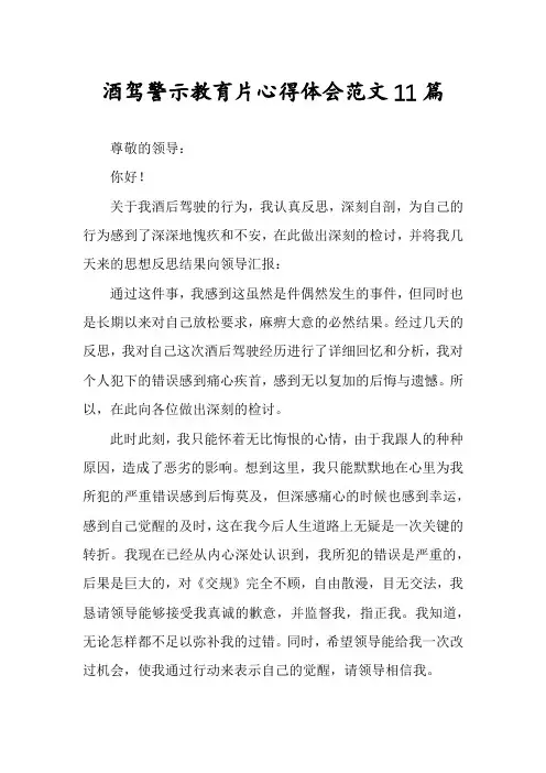 酒驾警示教育片心得体会范文11篇