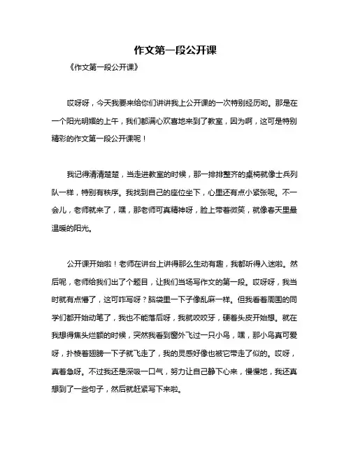 作文第一段公开课