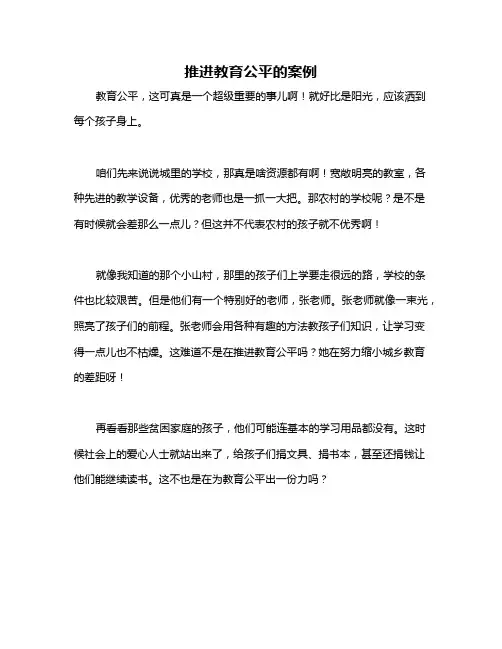 推进教育公平的案例