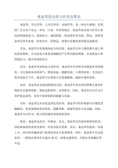 垂盆草的功效与作用及禁忌