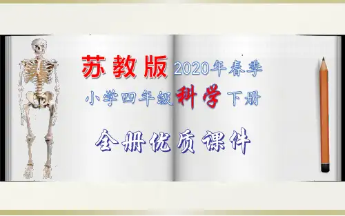 最新苏教版小学四年级科学下册全册精品教学课件