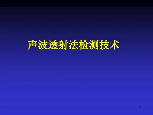 声波透射法