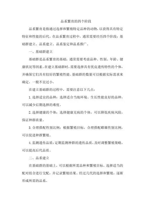 品系繁育的四个阶段
