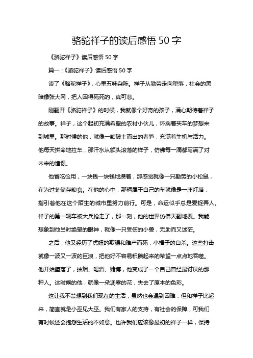 骆驼祥子的读后感悟50字