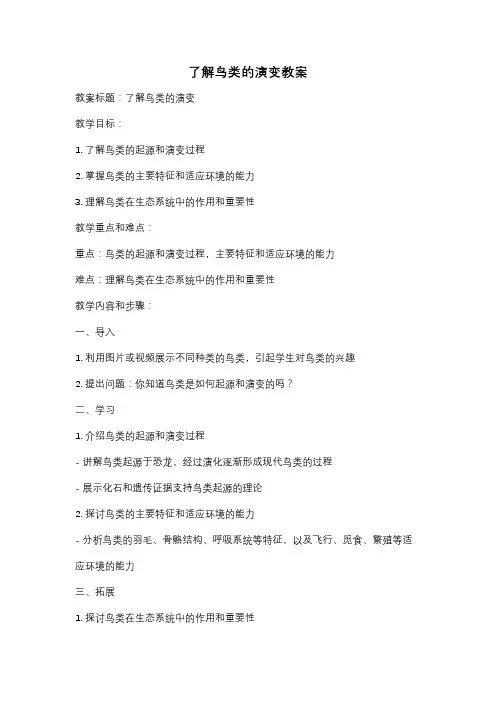 了解鸟类的演变教案