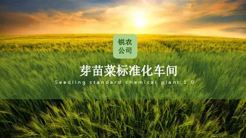 家庭式芽苗菜种植车间项目规划及市场分析和投资预算