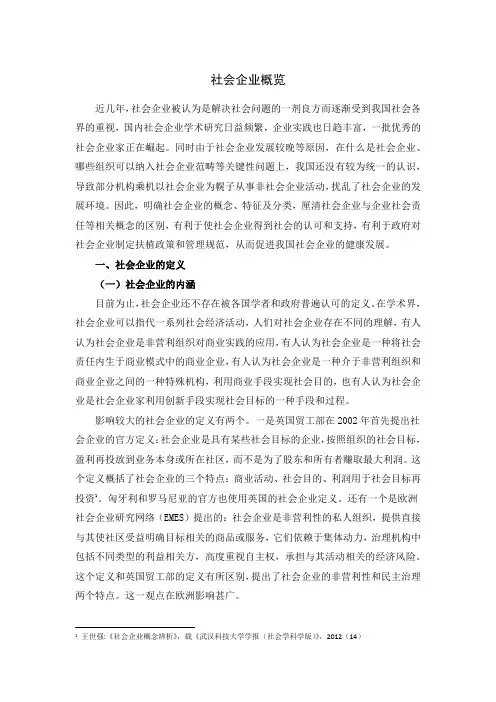 社会企业概览
